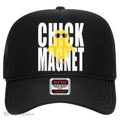 Chick Magnet Cute Easter Baby Chicken Sunglasses Art Hat