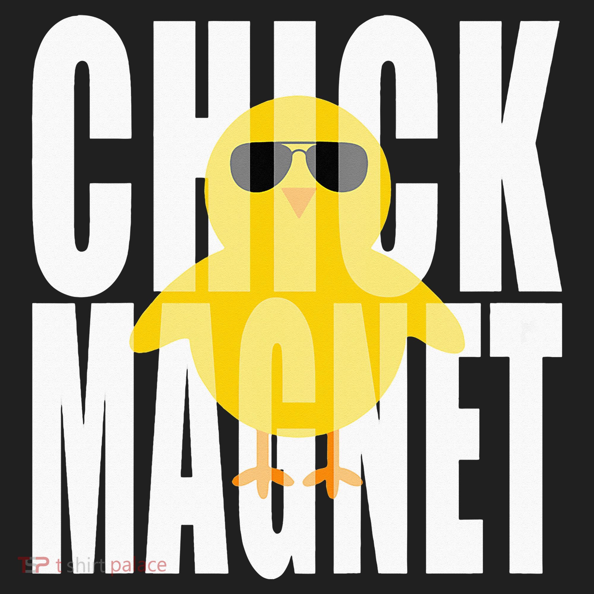 Chick Magnet Cute Easter Baby Chicken Sunglasses Art Hat