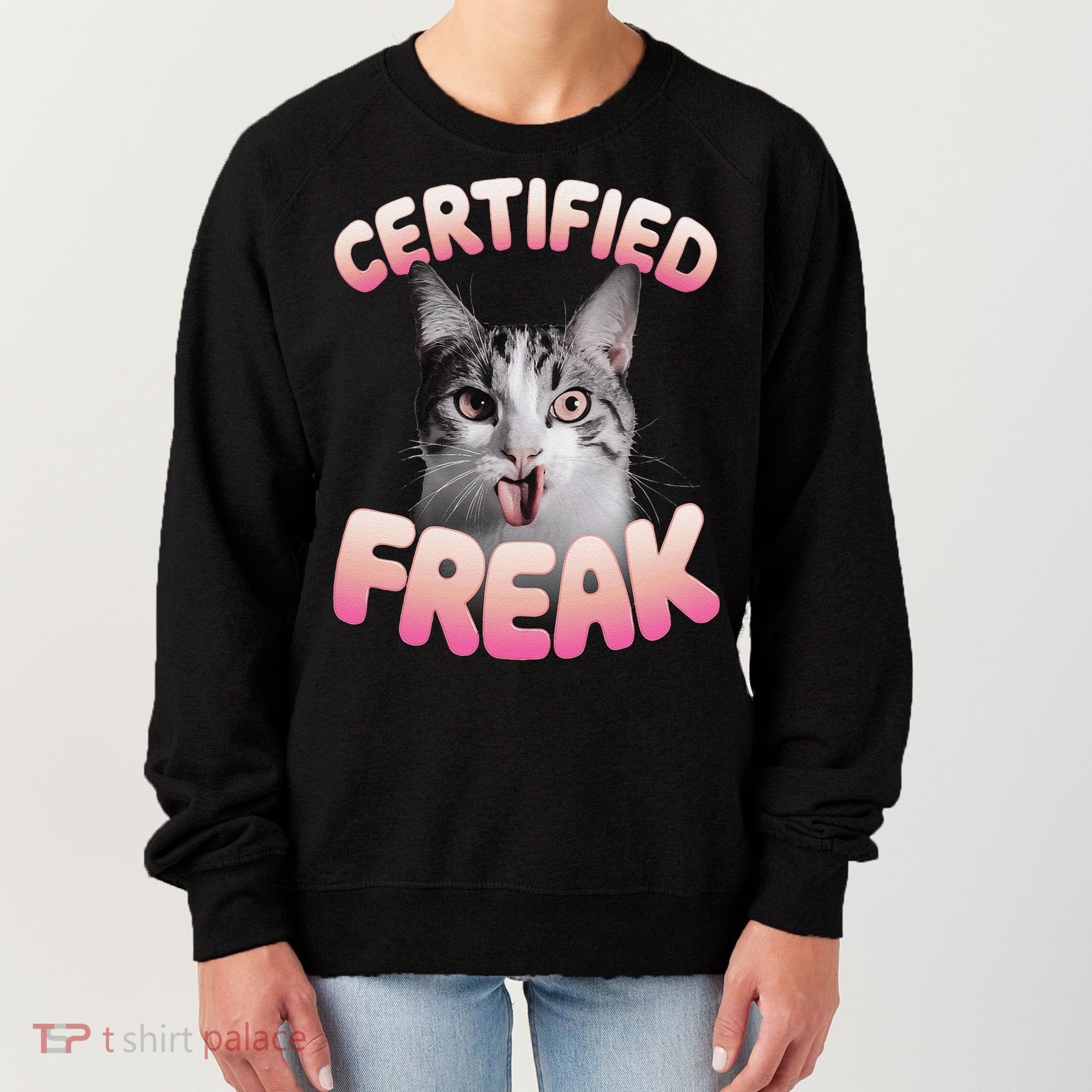 Cat Meme Certified Freak Eat Cement Cursed Cat Funny Women's Sweatshirt