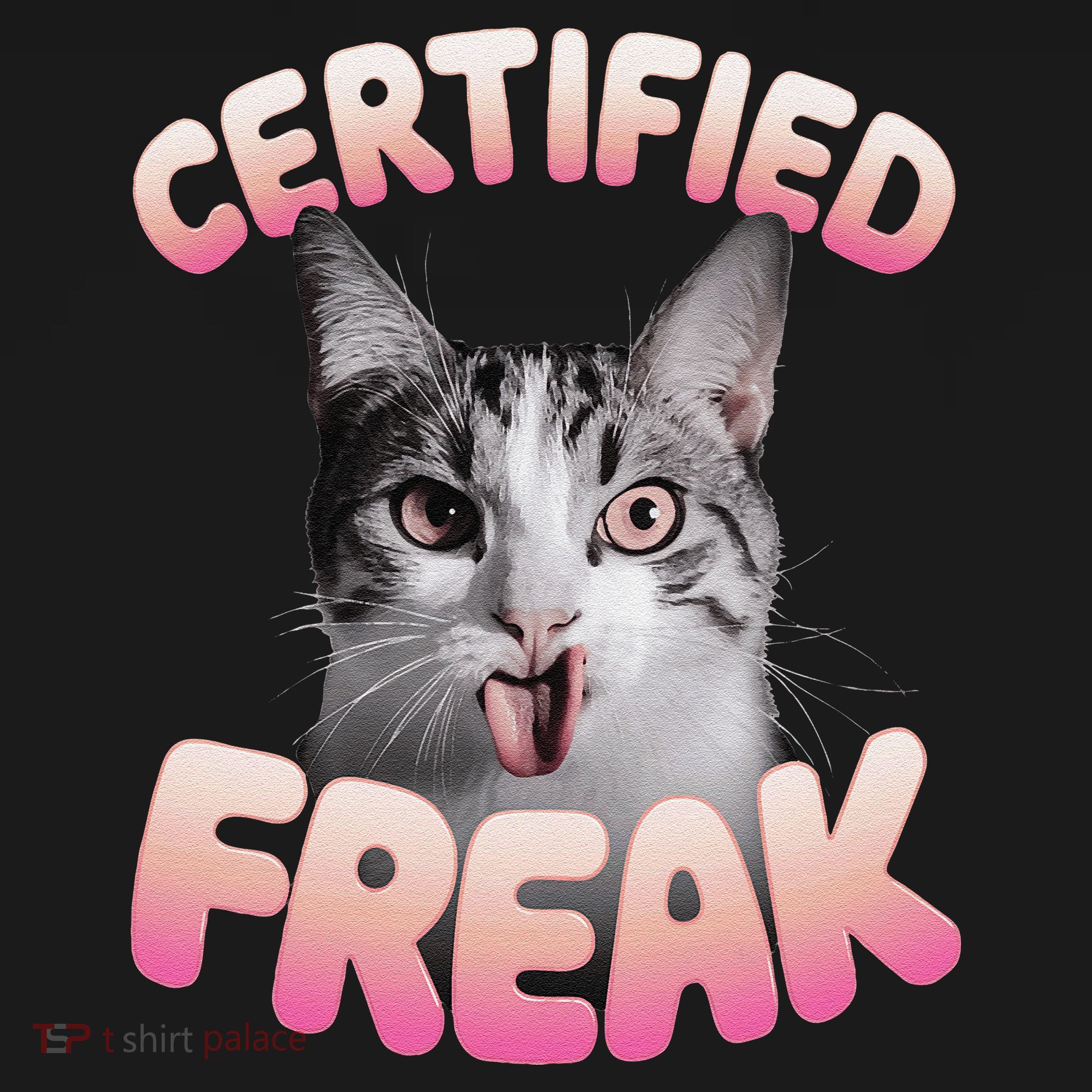Cat Meme Certified Freak Eat Cement Cursed Cat Funny Kids Hoodie