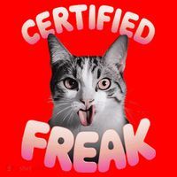 Cat Meme Certified Freak Eat Cement Cursed Cat Funny Santa Hat thumb 1