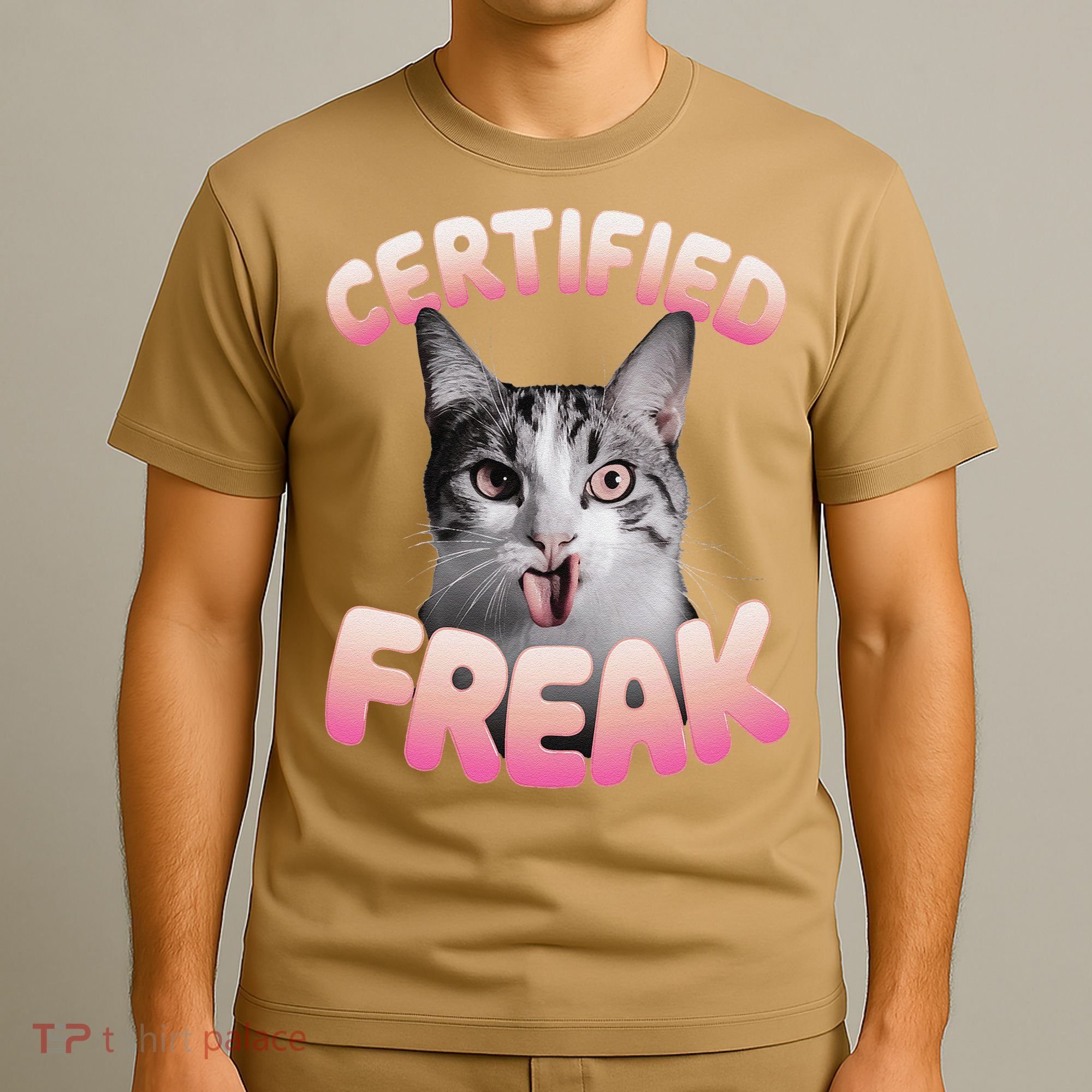 Cat Meme Certified Freak Eat Cement Cursed Cat Funny T-Shirt