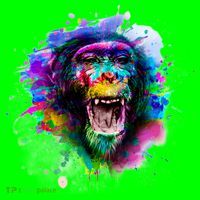 Colorful Monkey T-Shirt thumb 7