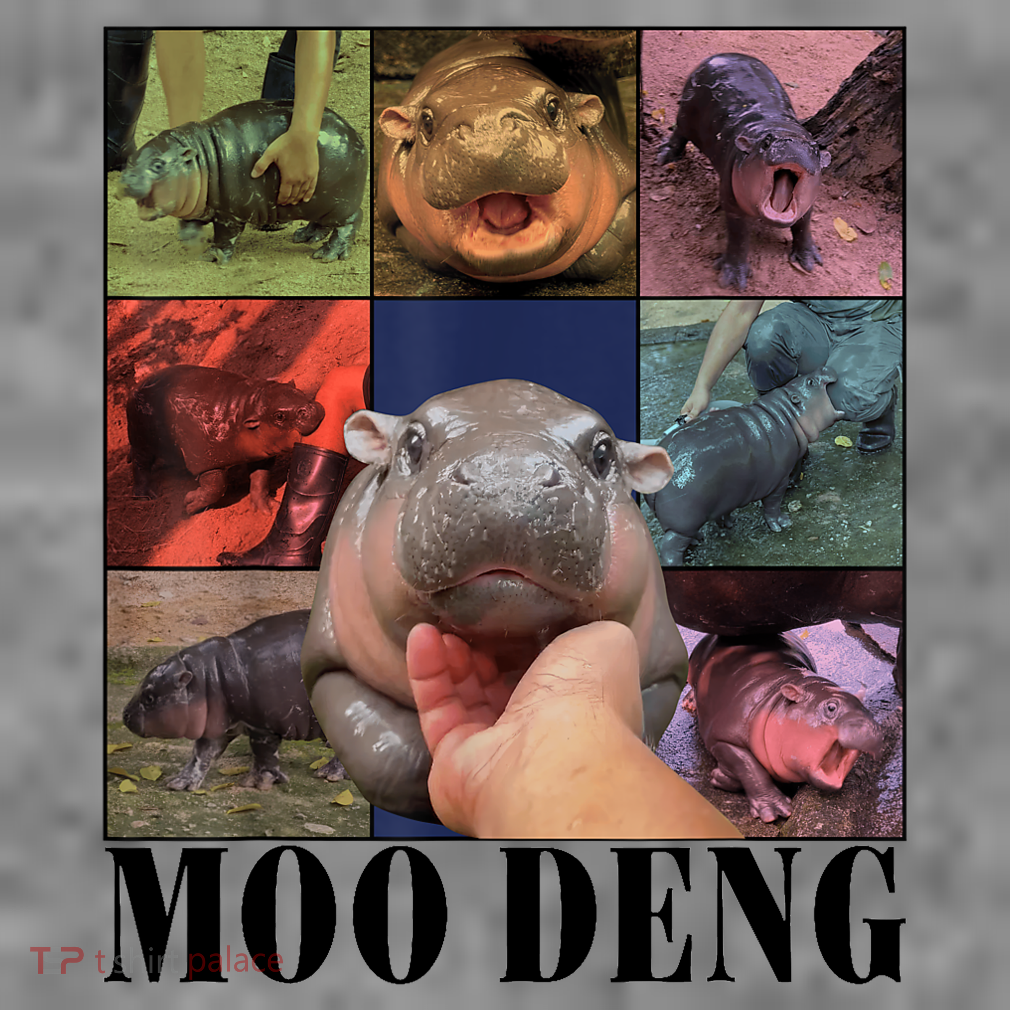 Colorful Moo Deng Retro Photo Hippo T-Shirt