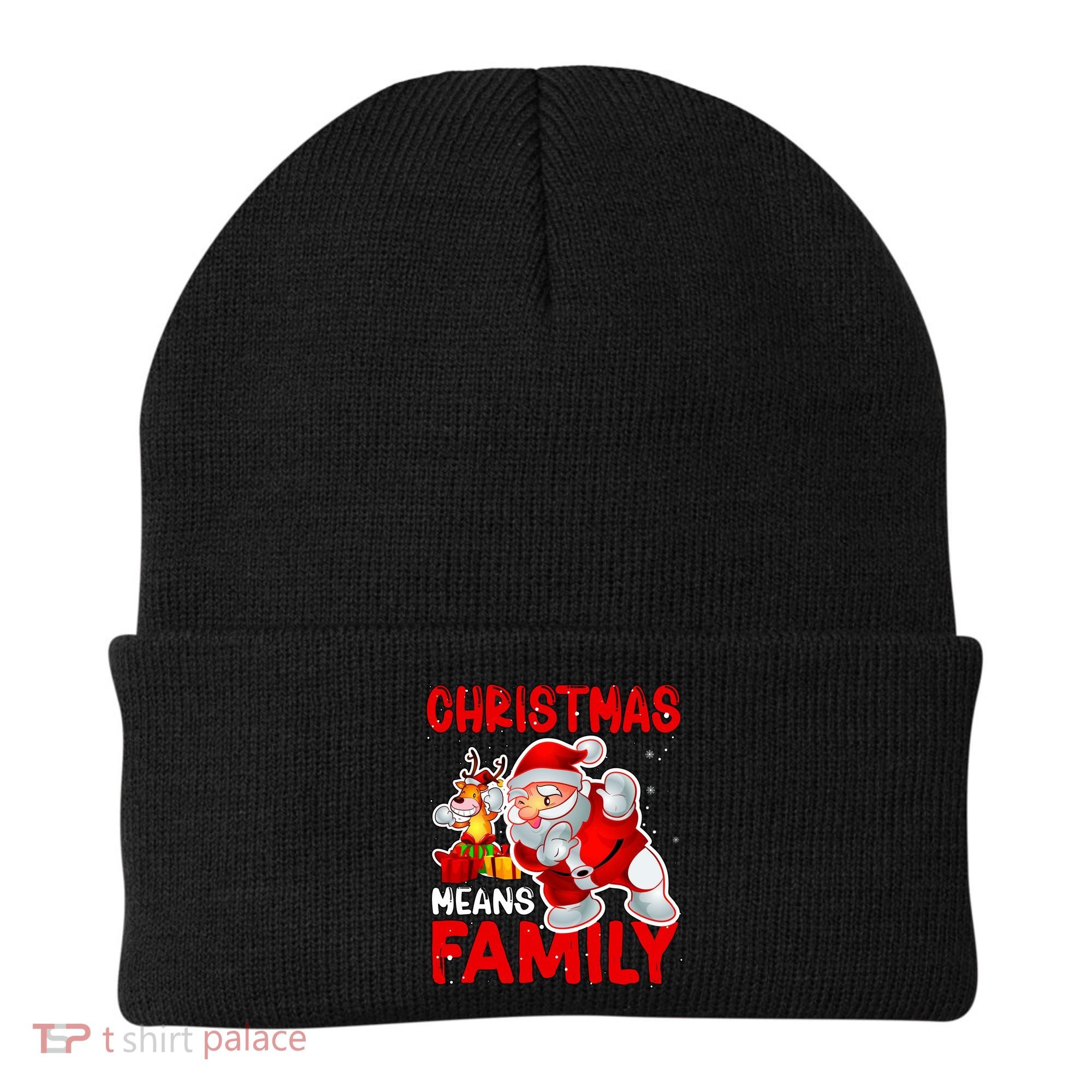 Christmas Means Family Santa Reindeer Beanie