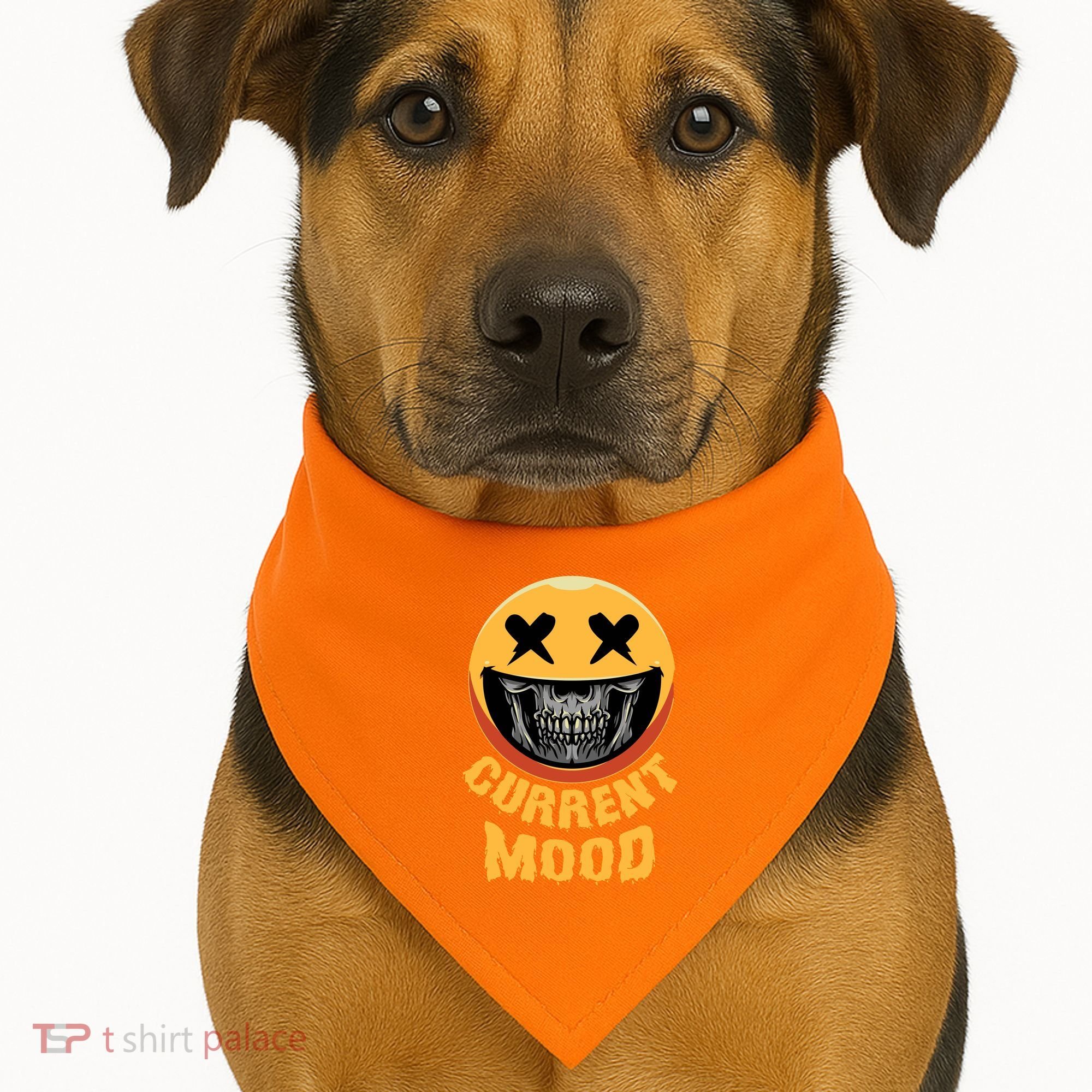 Current Mood Funny Halloween Skeleton USA-Made Doggie Bandana