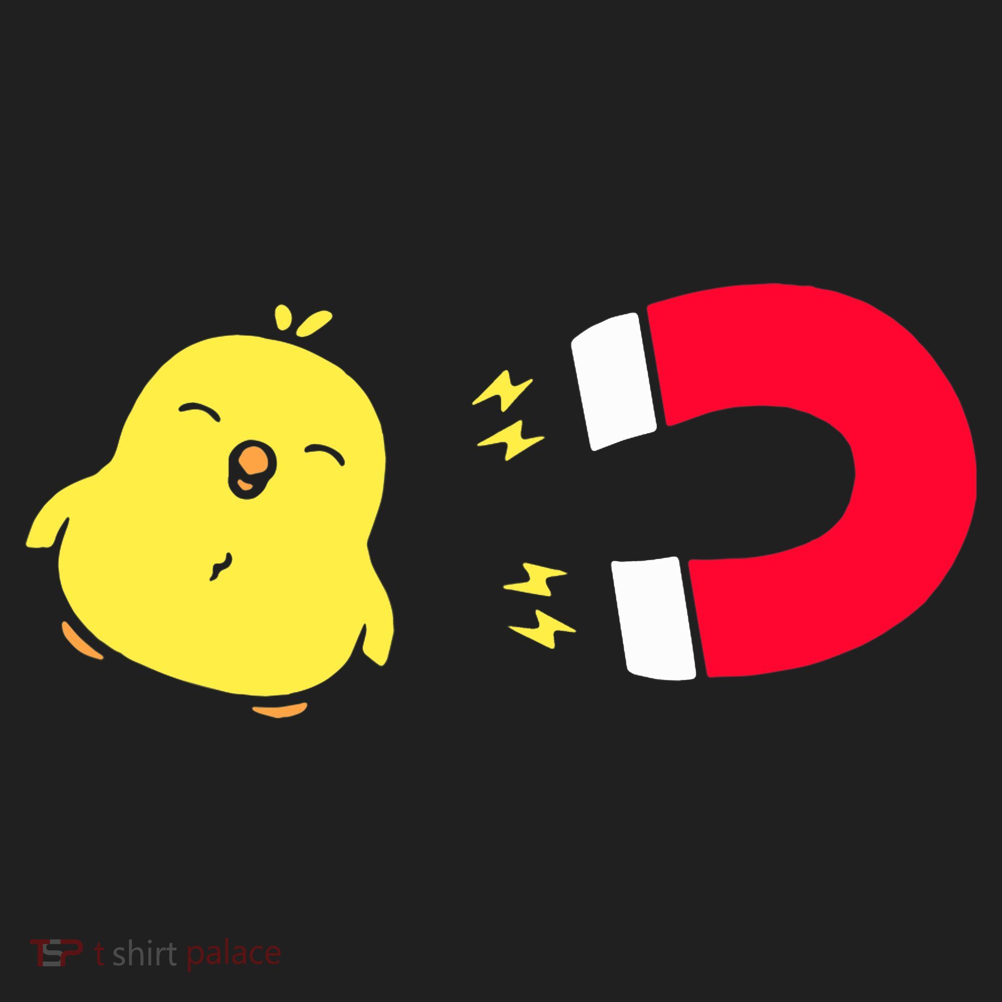 Chick Magnet Funny Beanie
