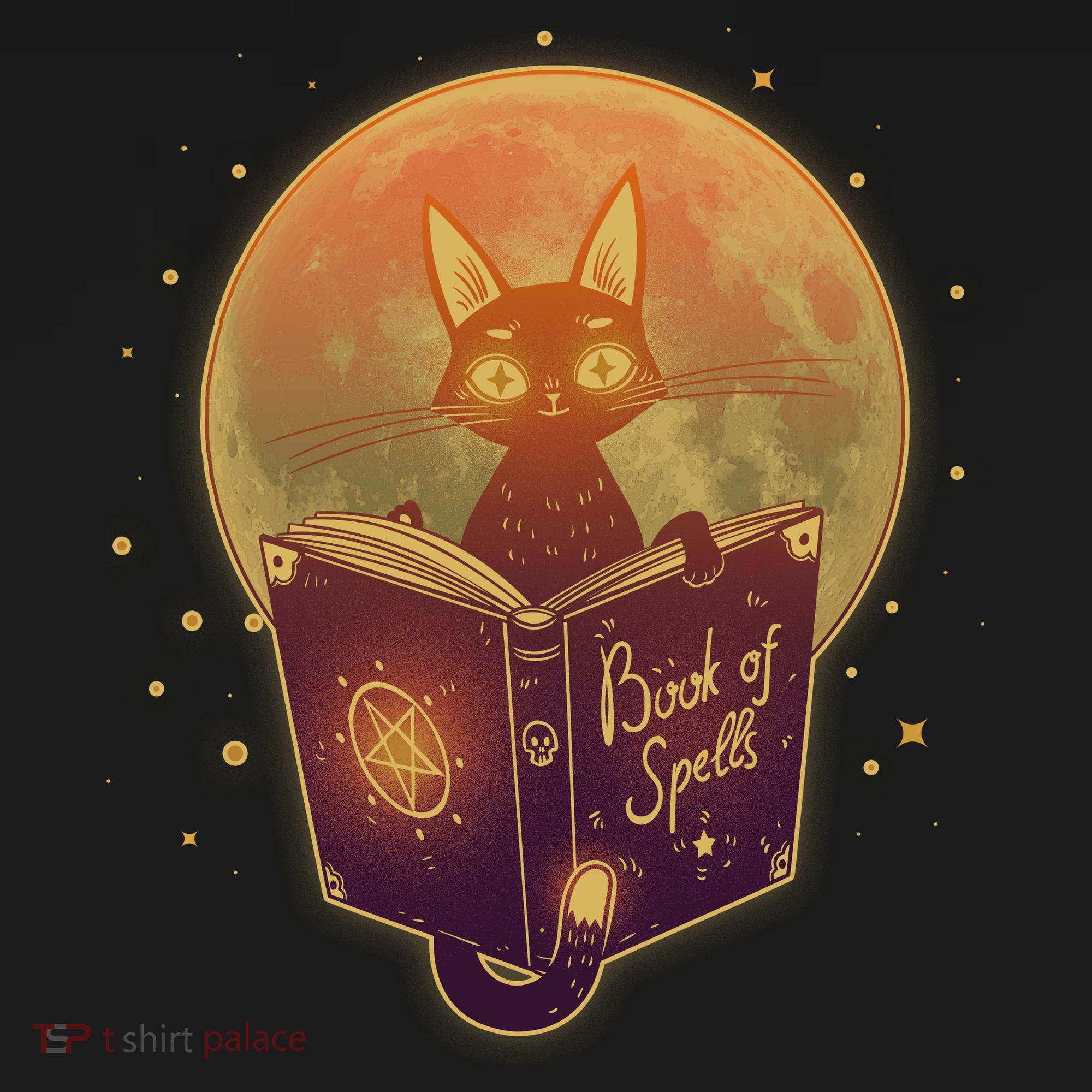 Cute Mystical Halloween Book Of Spells Cat Women's Hoodie