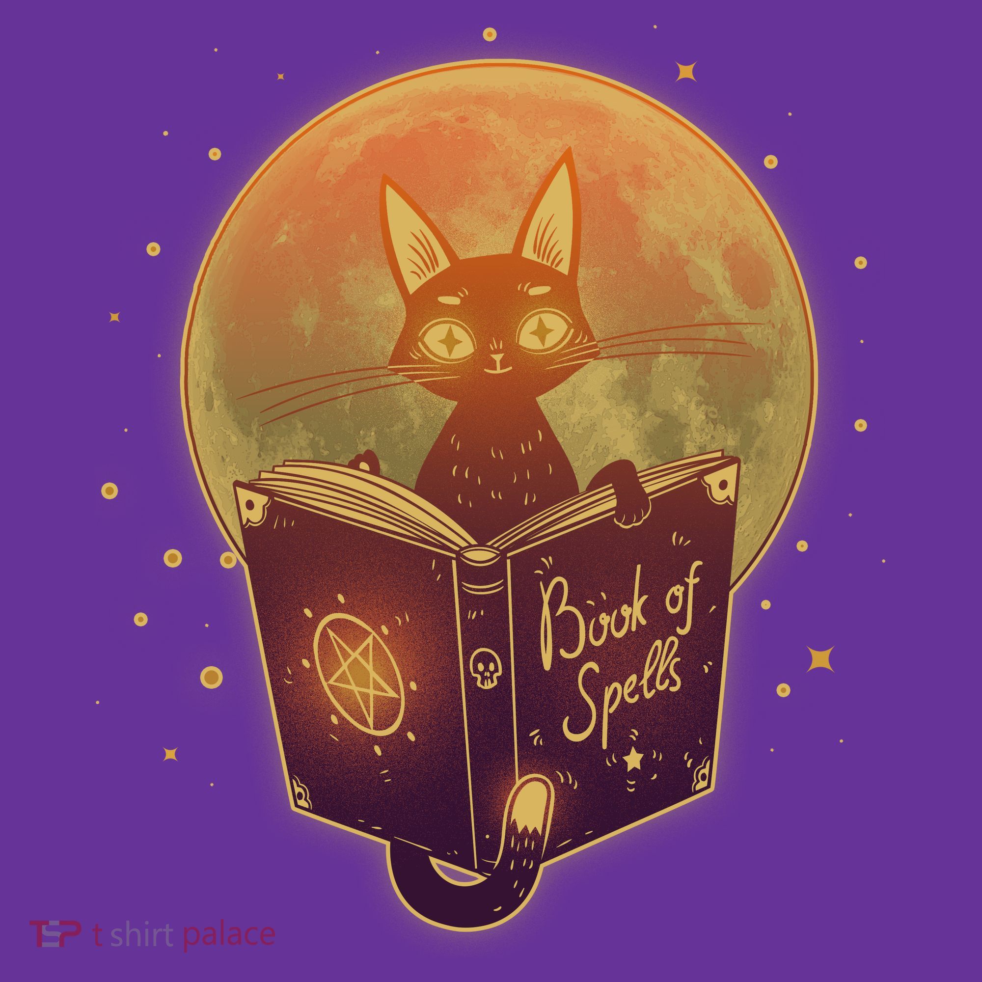 Cute Mystical Halloween Book Of Spells Cat Hoodie