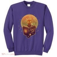 Cute Mystical Halloween Book Of Spells Cat Sweatshirt thumb 0