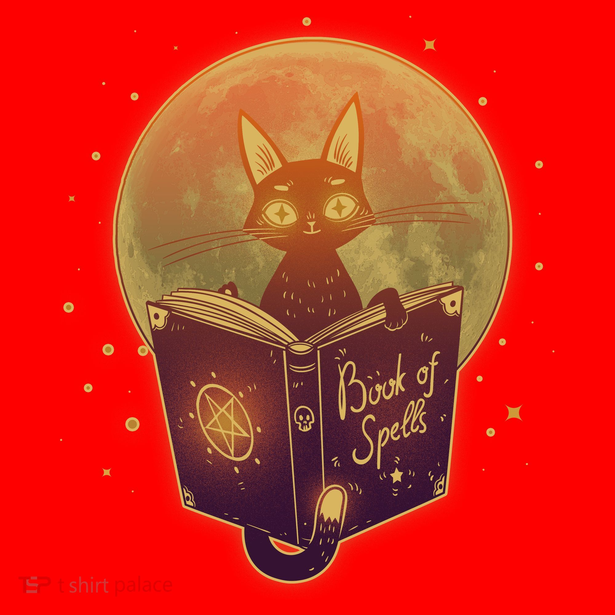 Cute Mystical Halloween Book Of Spells Cat Santa Hat