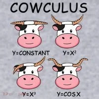 Cowculus Math Lovers Funny Cow Calculus Math Teacher Gift Women's Sweatshirt thumb 2