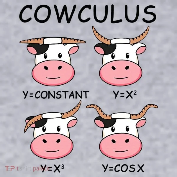 Cowculus Math Lovers Funny Cow Calculus Math Teacher Gift Women's Sweatshirt