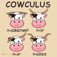 Cowculus Math Lovers Funny Cow Calculus Math Teacher Gift Tote Bag thumb 4