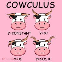 Cowculus Math Lovers Funny Cow Calculus Math Teacher Gift Coaster thumb 2