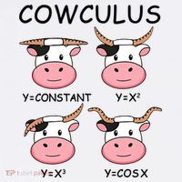 Cowculus Math Lovers Funny Cow Calculus Math Teacher Gift Coffee Mug thumb 5