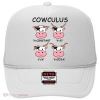Cowculus Math Lovers Funny Cow Calculus Math Teacher Gift Hat thumb 0