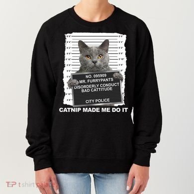 Catnip Made Me Do It Funny Cat Women's Sweatshirt
