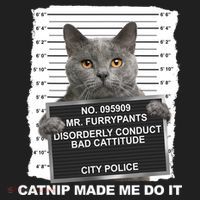 Catnip Made Me Do It Funny Cat Women's Sweatshirt thumb 2