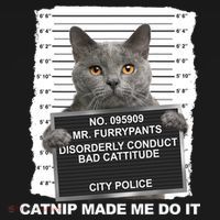 Catnip Made Me Do It Funny Cat USA-Made Doggie Bandana thumb 2