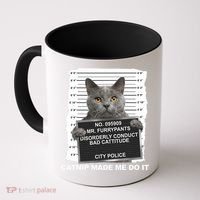 Catnip Made Me Do It Funny Cat Coffee Mug thumb 0