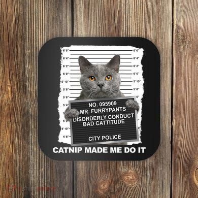 Catnip Made Me Do It Funny Cat Coaster