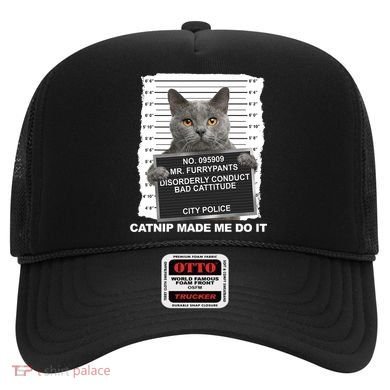 Catnip Made Me Do It Funny Cat Hat