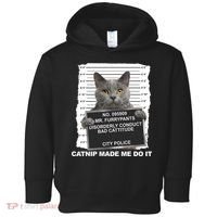 Catnip Made Me Do It Funny Cat Toddler Hoodie thumb 0