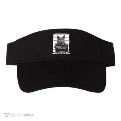 Visor
