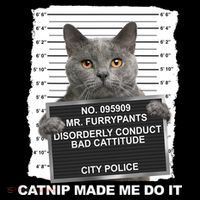 Catnip Made Me Do It Funny Cat Women's Long Sleeve Shirt thumb 2