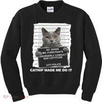 Catnip Made Me Do It Funny Cat Kids Sweatshirt thumb 0