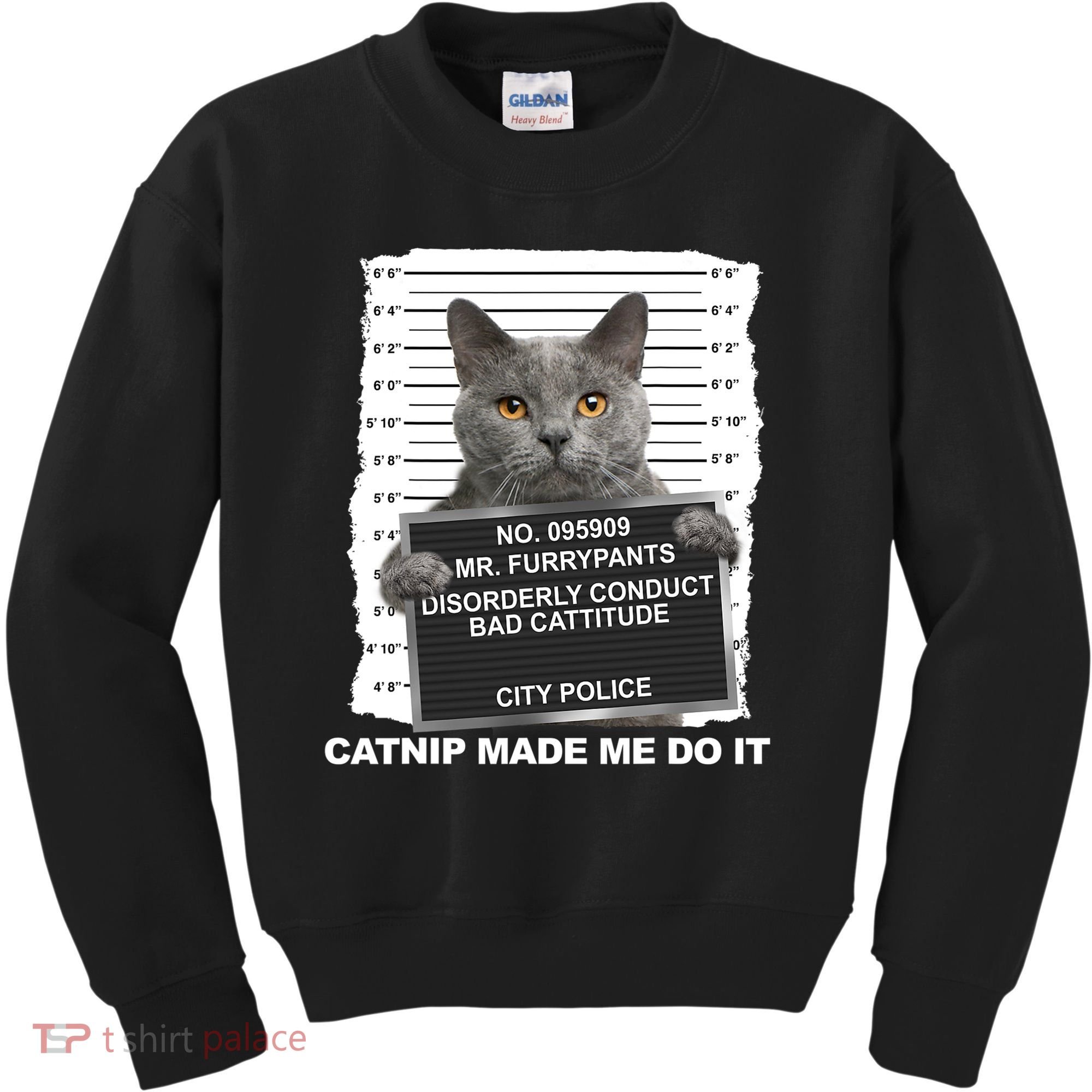 Catnip Made Me Do It Funny Cat Kids Sweatshirt