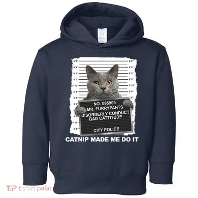 Toddler Hoodie