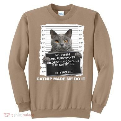 Catnip Made Me Do It Funny Cat Sweatshirt