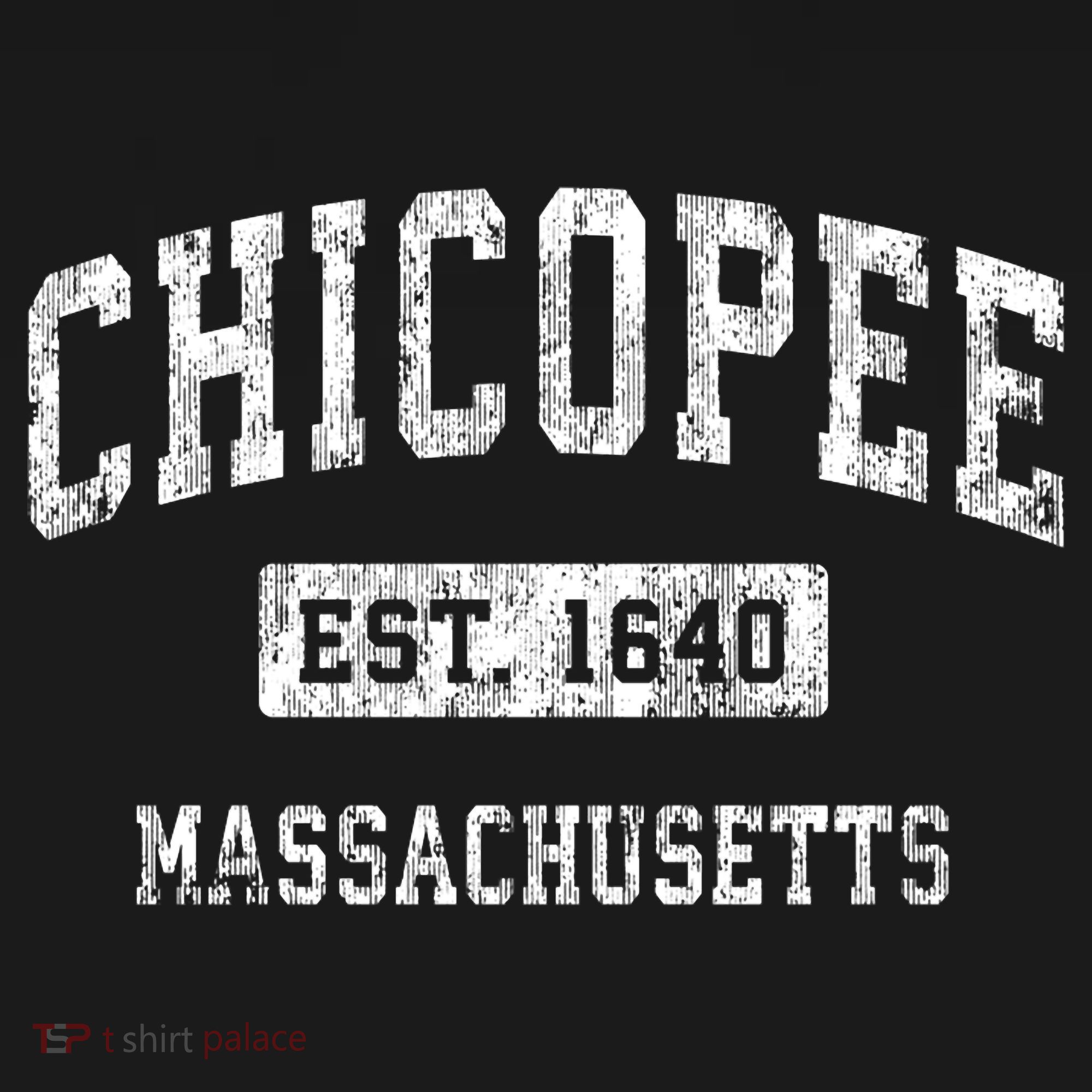 Chicopee Massachusetts Ma Vintage Established Sports T-Shirt