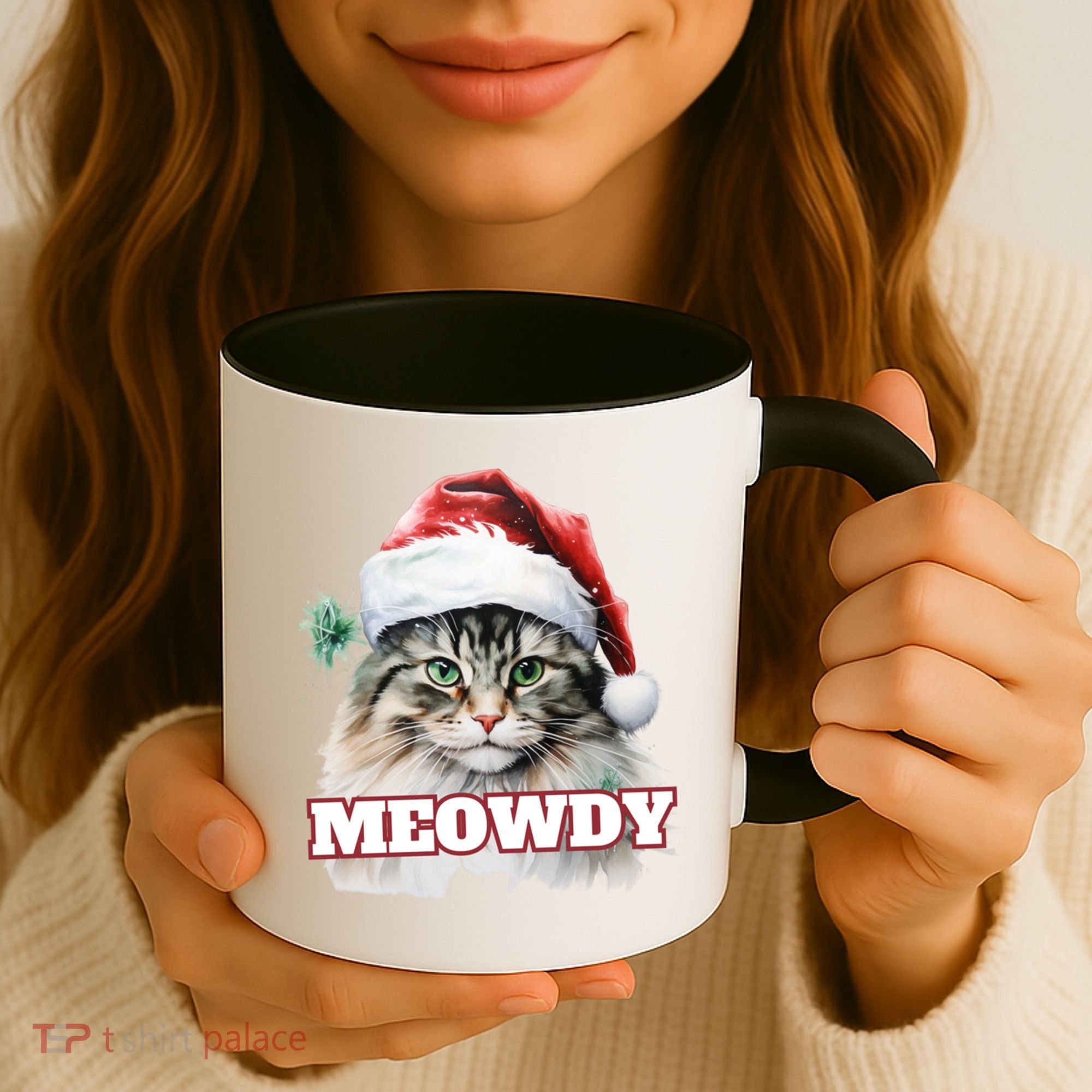 Cat Meme Meowdy Funny Mashup Meow Howdy Christmas Santa Hat Cool Gift Coffee Mug
