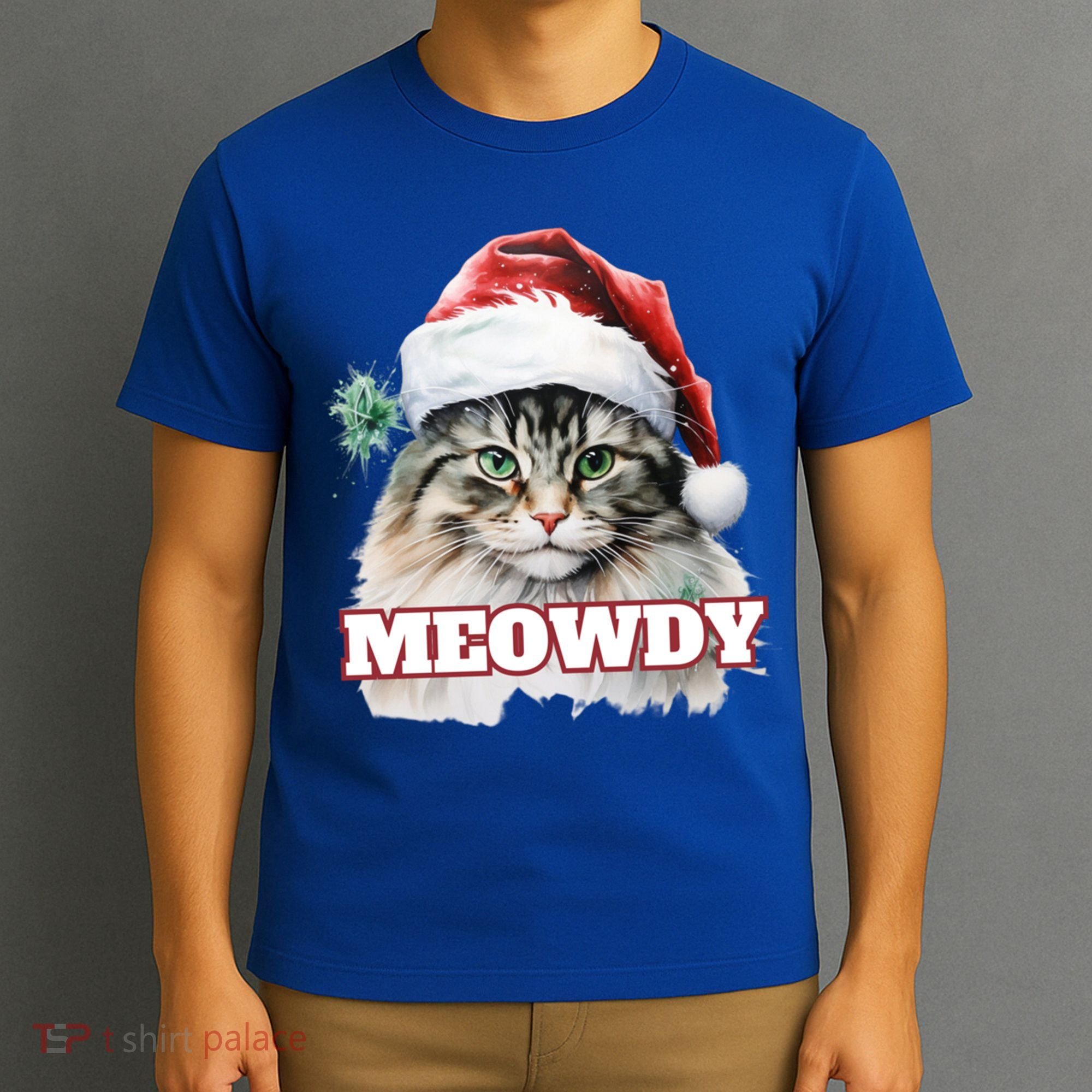 Cat Meme Meowdy Funny Mashup Meow Howdy Christmas Santa Hat Cool Gift T-Shirt