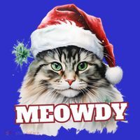 Cat Meme Meowdy Funny Mashup Meow Howdy Christmas Santa Hat Cool Gift Toddler T-Shirt thumb 4