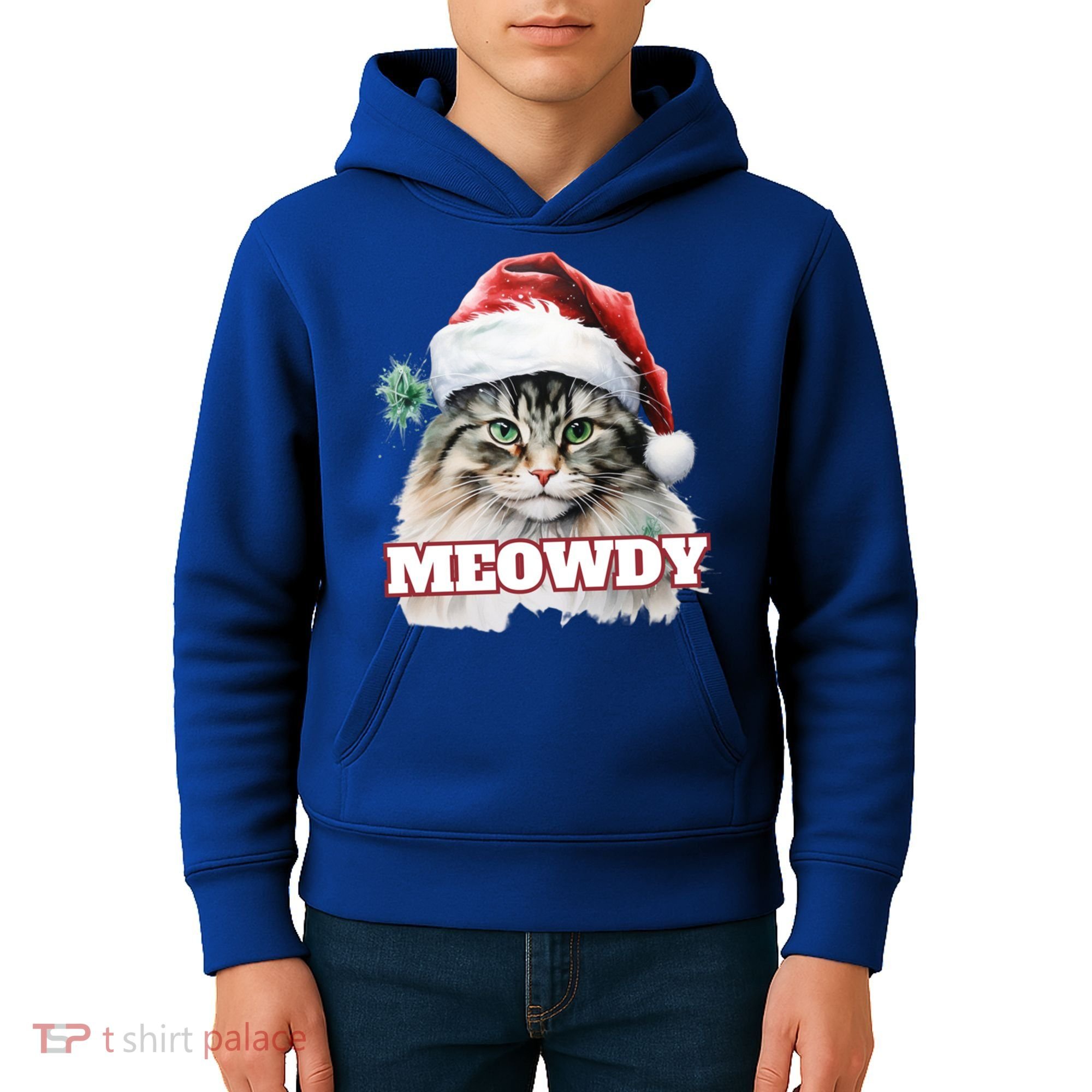 Cat Meme Meowdy Funny Mashup Meow Howdy Christmas Santa Hat Cool Gift Kids Hoodie
