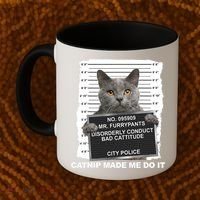 Catnip Made Me Do It Funny Cat Tee Coffee Mug thumb 2