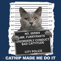 Catnip Made Me Do It Funny Cat Tee Hoodie thumb 7