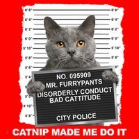 Catnip Made Me Do It Funny Cat Tee Santa Hat thumb 1