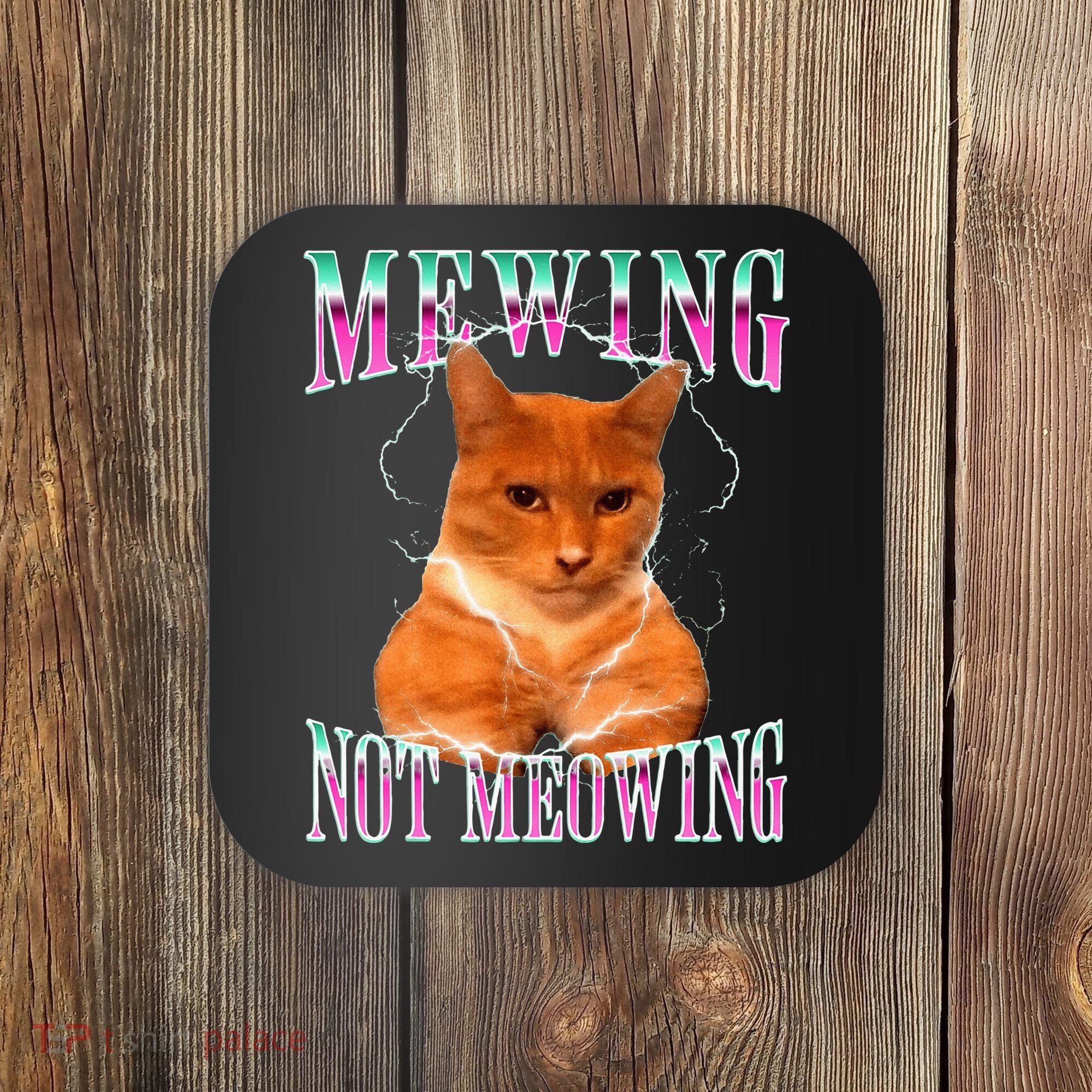 Cat Mewing Meme Mewing Not Meowing Coaster