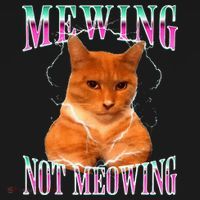 Cat Mewing Meme Mewing Not Meowing Visor thumb 3