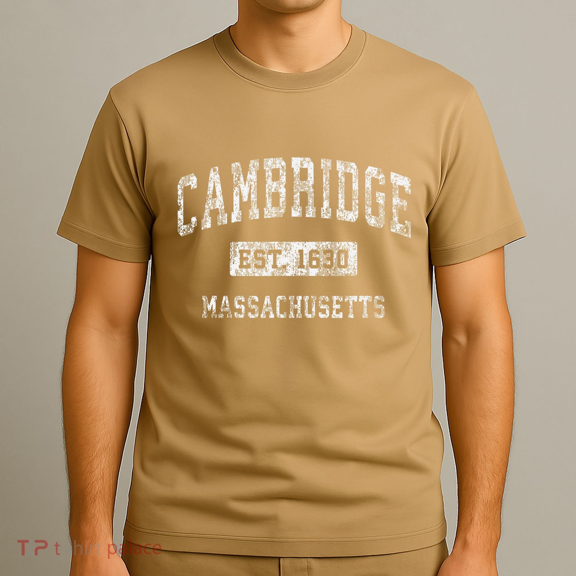 Cambridge Massachusetts Ma Vintage Established T-Shirt