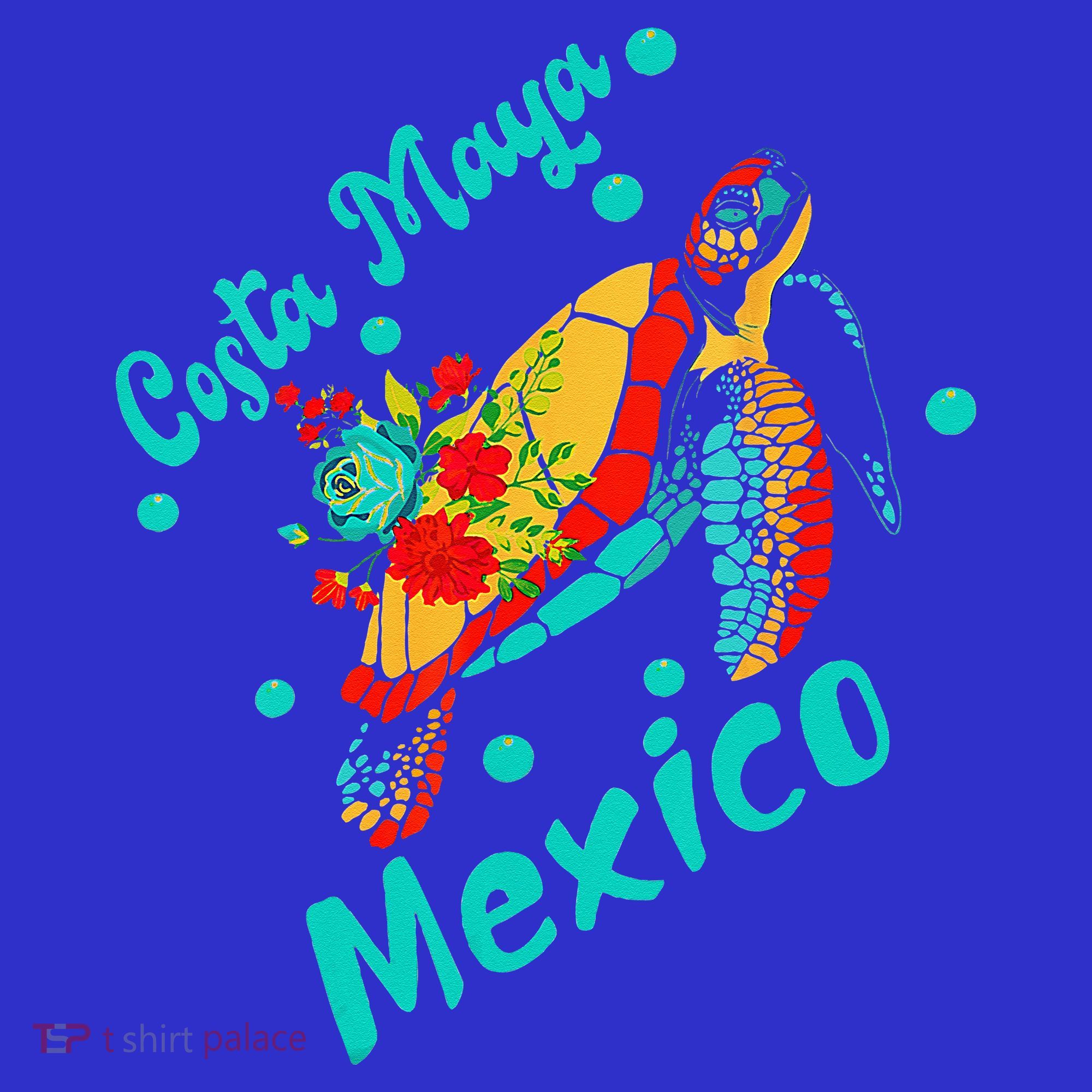 Costa Maya Mexico Turtle Sea Tropical Souvenir Travel Kids Sweatshirt