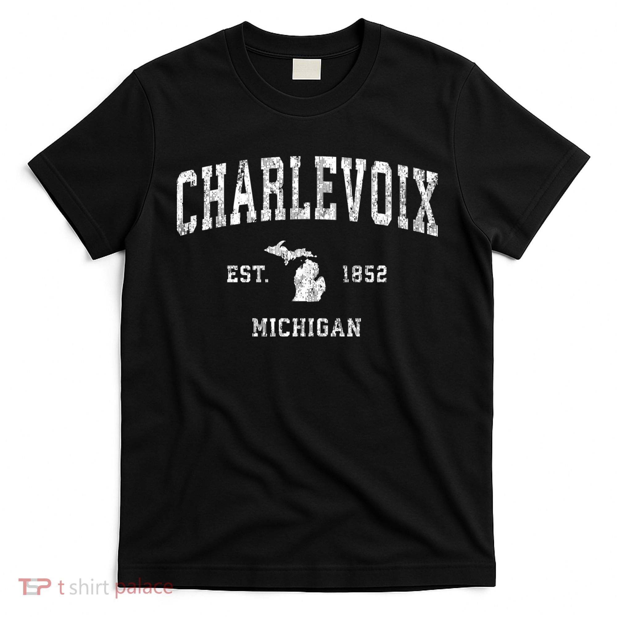Charlevoix Michigan Mi Vintage Athletic Sports T-Shirt