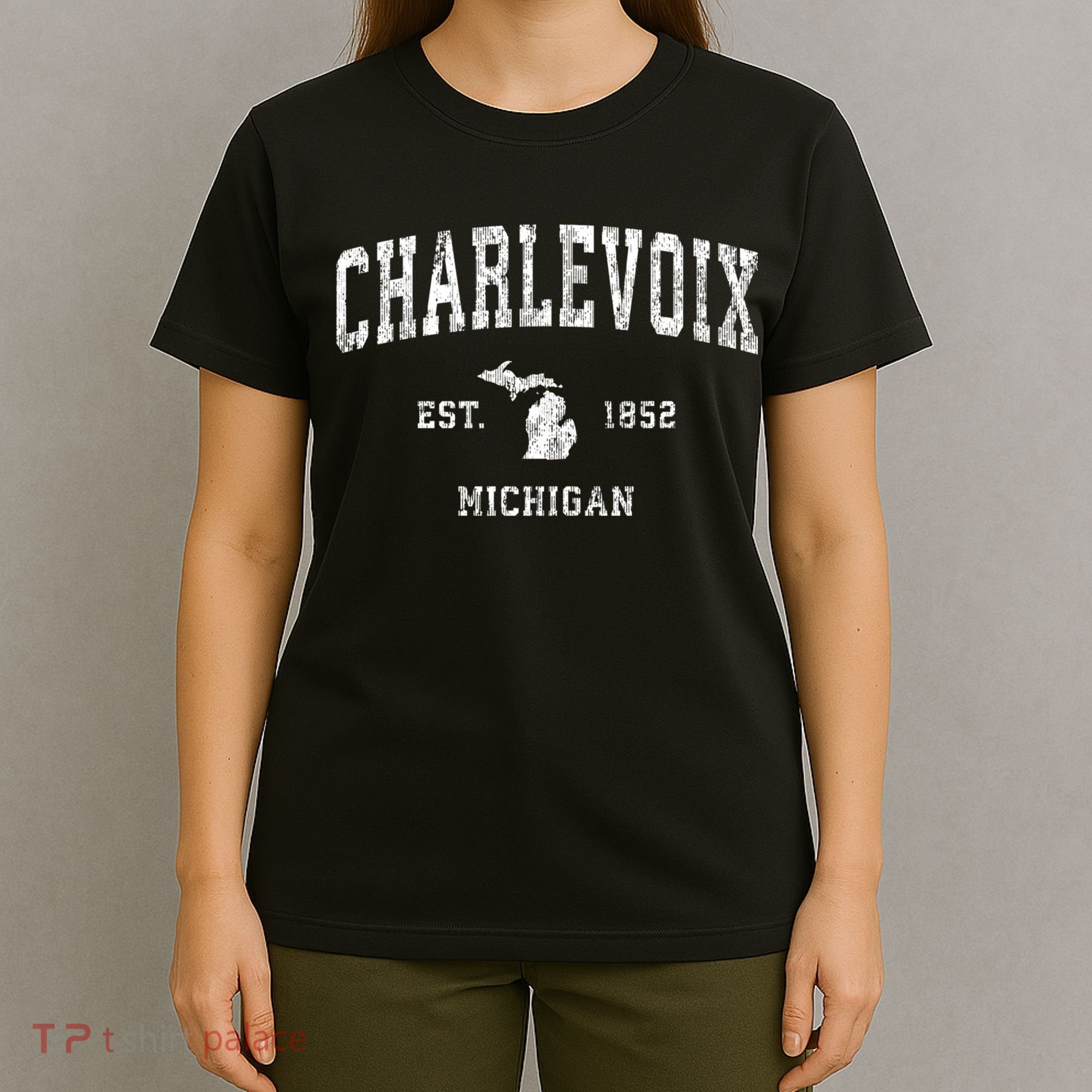 Charlevoix Michigan Mi Vintage Athletic Sports T-Shirt