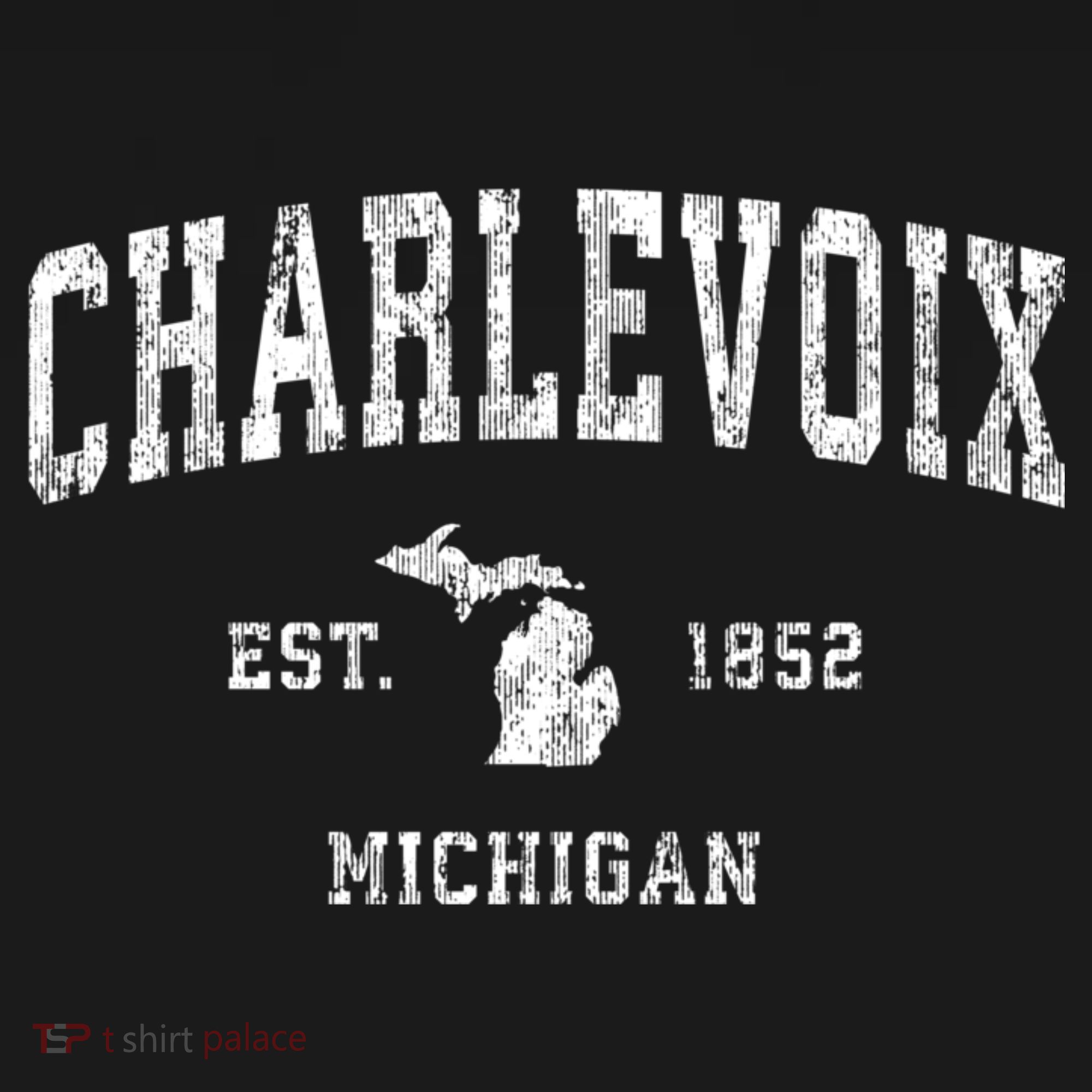 Charlevoix Michigan Mi Vintage Athletic Sports T-Shirt