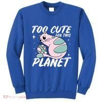 Cat Mom Puns Too Cute For This Planet Earth Astronomy Lover Gift Sweatshirt thumb 0